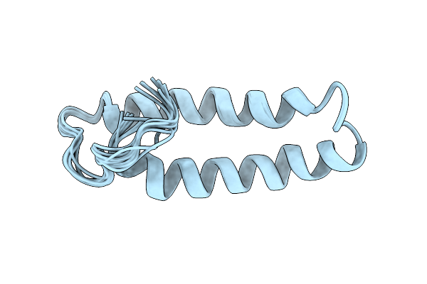 2X43 image