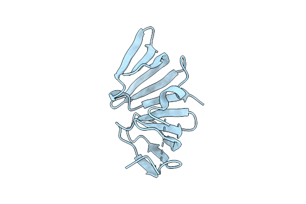 2X4J image