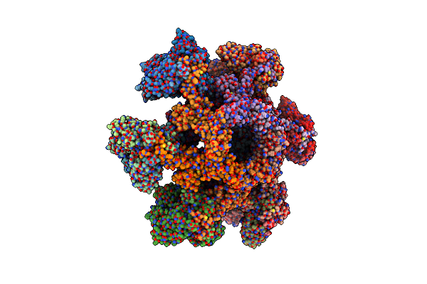 2X53 image