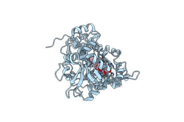 2X5L image
