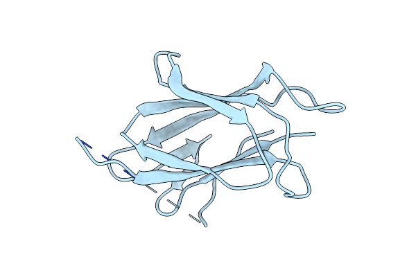 2X5P image