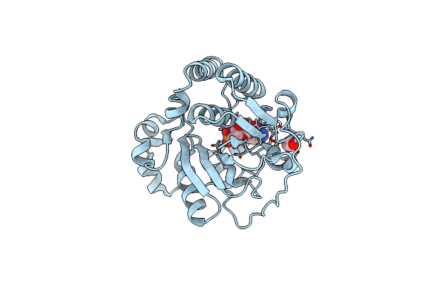 2X63 image