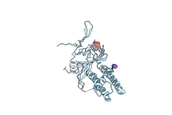 2X6B image