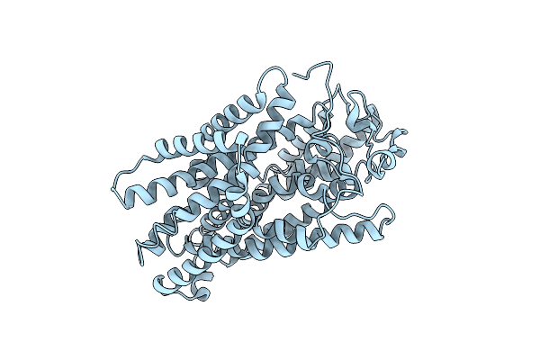 2X79 image