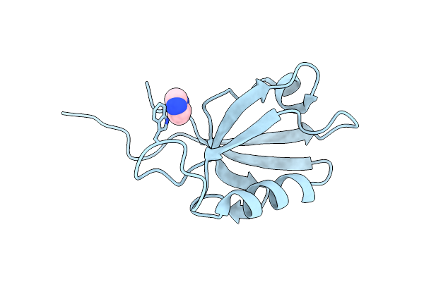 2X7Z image