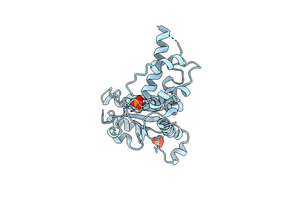 2X8A image