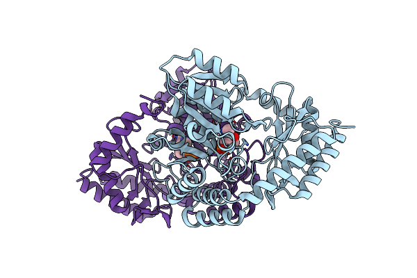 2X8U image