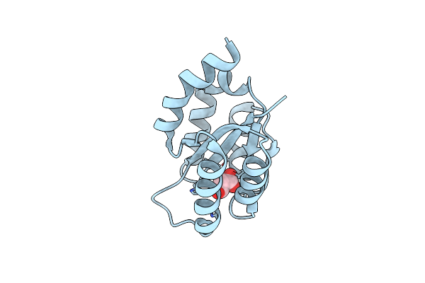 2X8W image