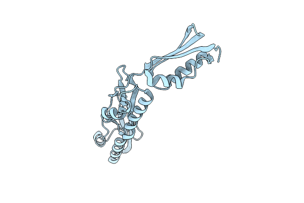 2X8X image