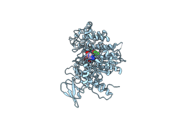 2X9H image