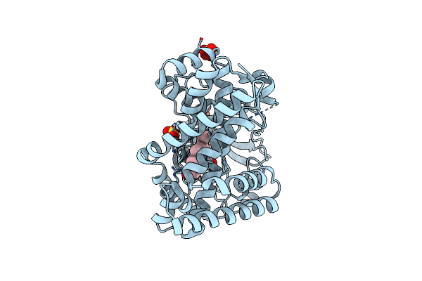 2X9P image