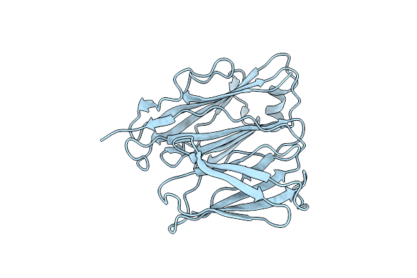 2X9Z image