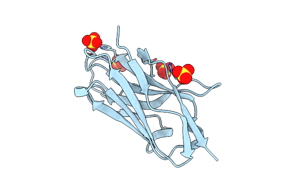 2XA3 image
