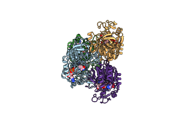 2XAA image
