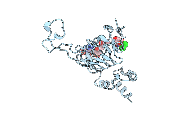 2XAT image