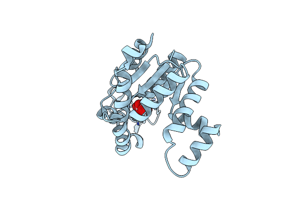 2XB4 image