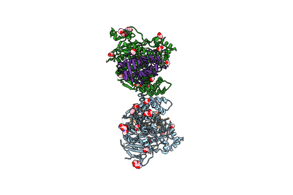 2XB6 image