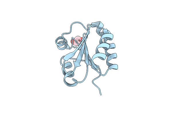 2XBI image