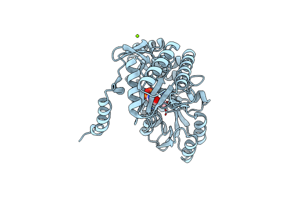 2XBN image