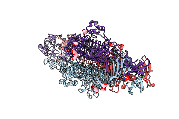 2XC1 image