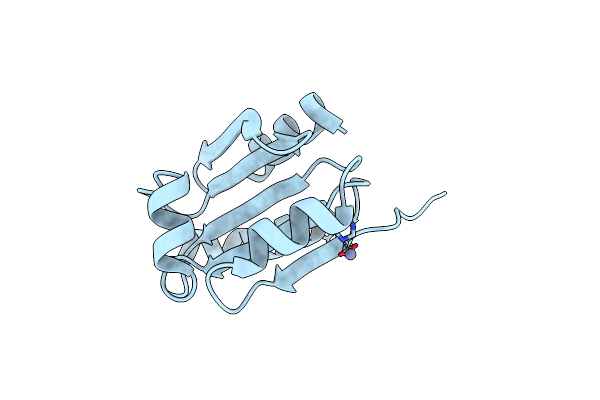2XC2 image