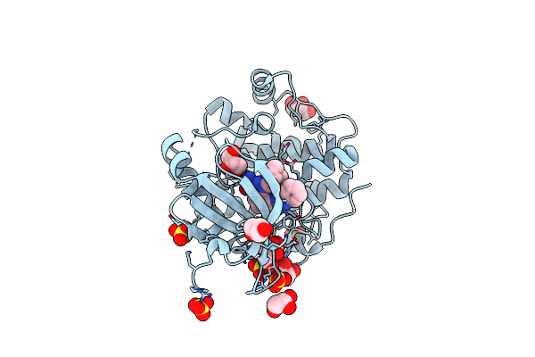 2XCH image