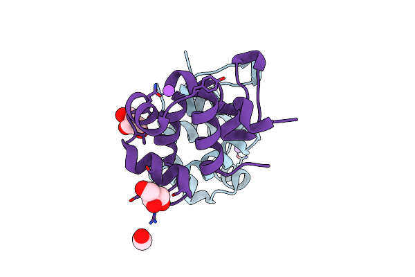 2XCJ image