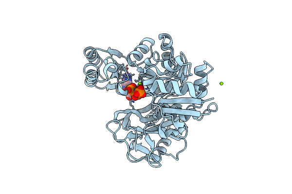 2XCL image