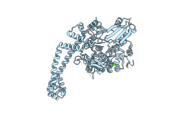 2XCO image