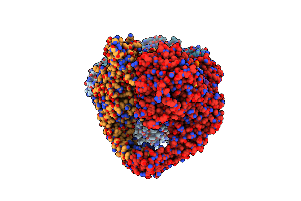 2XCR image