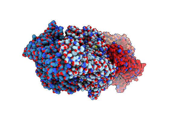 2XCT image