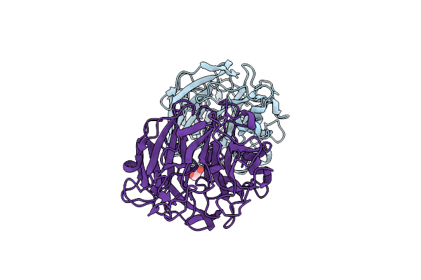 2XCY image