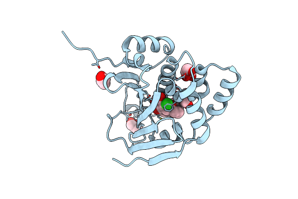 2XD6 image