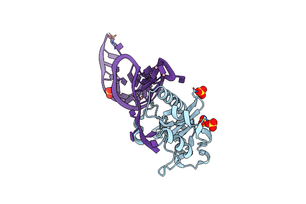 2XDB image