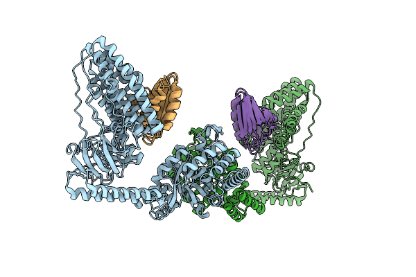 2XDF image