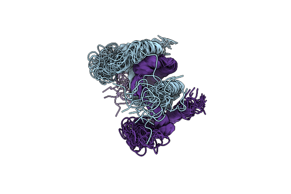 2XDI image