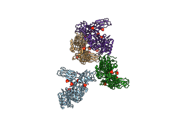 2XDM image