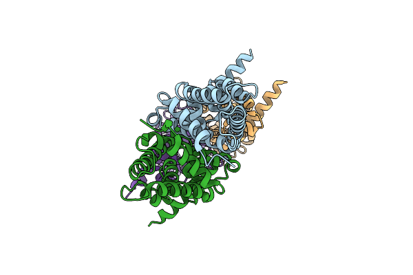 2XDN image