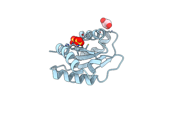 2XDY image