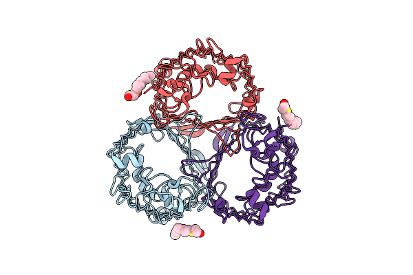 2XE2 image