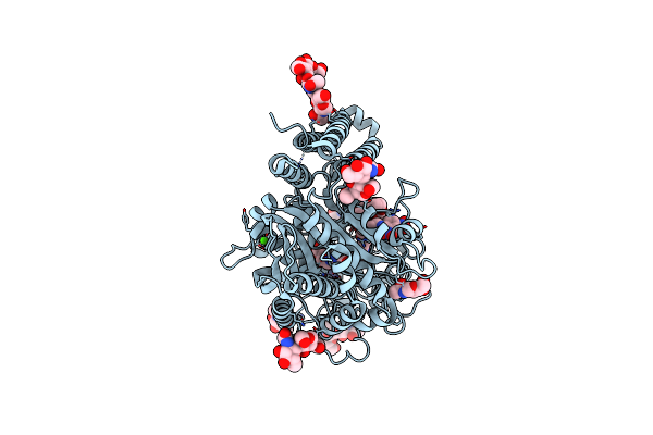 2XEF image