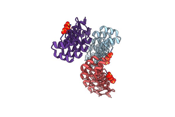 2XEH image