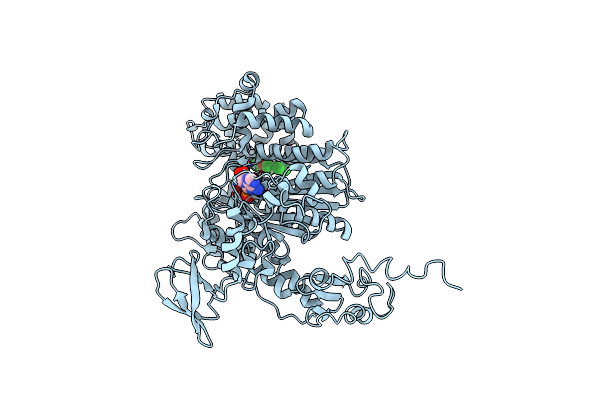 2XEL image