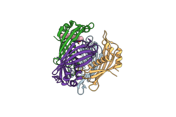 2XEM image