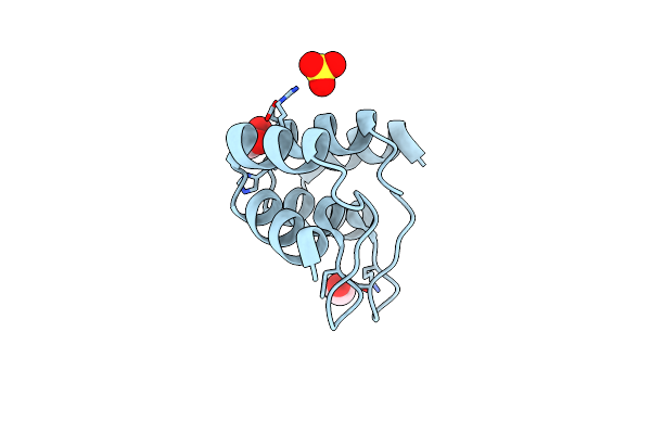 2XEN image