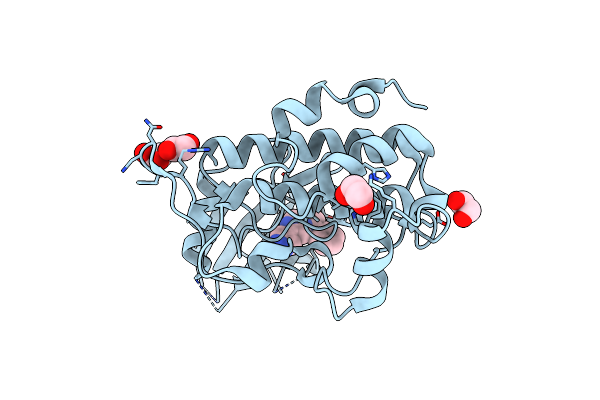 2XF0 image
