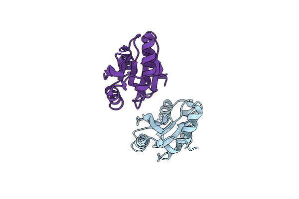 2XFA image