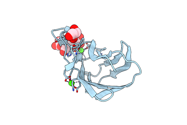2XFD image