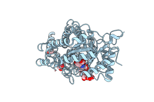 2XFF image