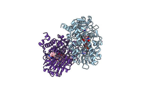 2XFO image